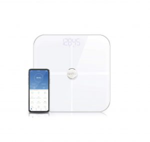 Renpho Smart Bluetooth Digital Weight Scale