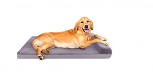 JoicyCo Large Crate Mat Dog Bed with Washable Cover
