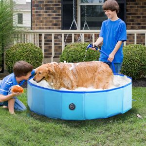 Reliance Foldable Dog Swimming Pool and Bath Tub