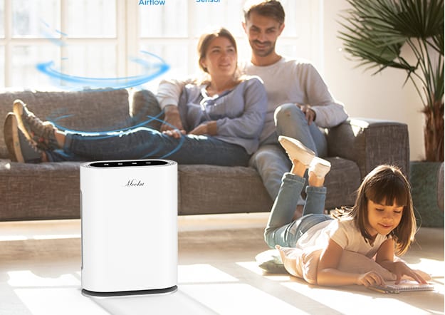 Air Purifiers for Large Rooms