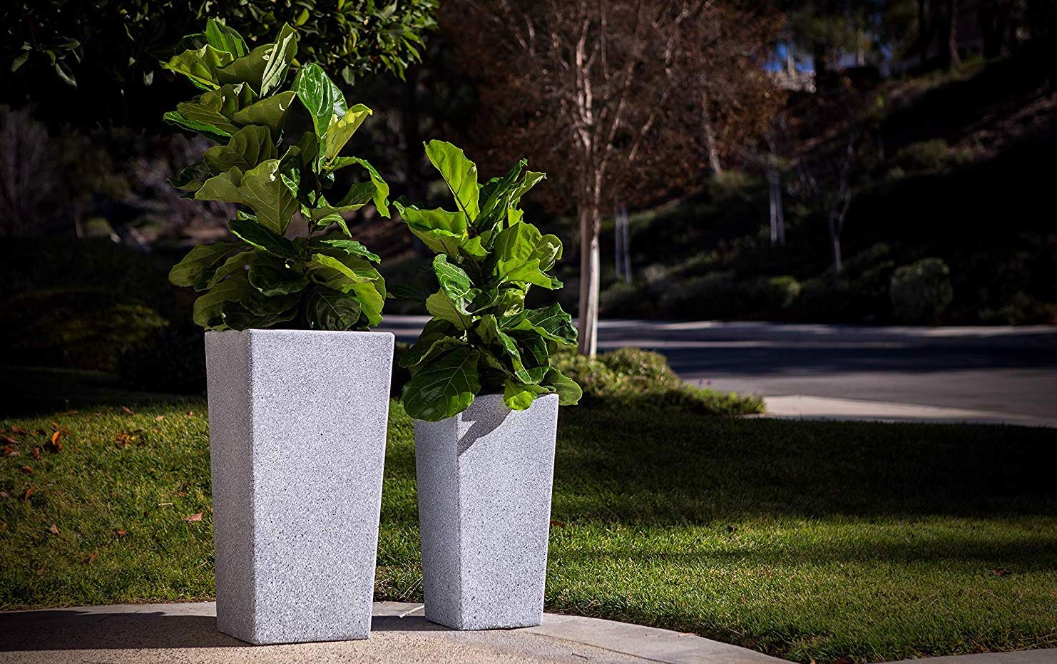 Top 10 Best Tall Planters Review