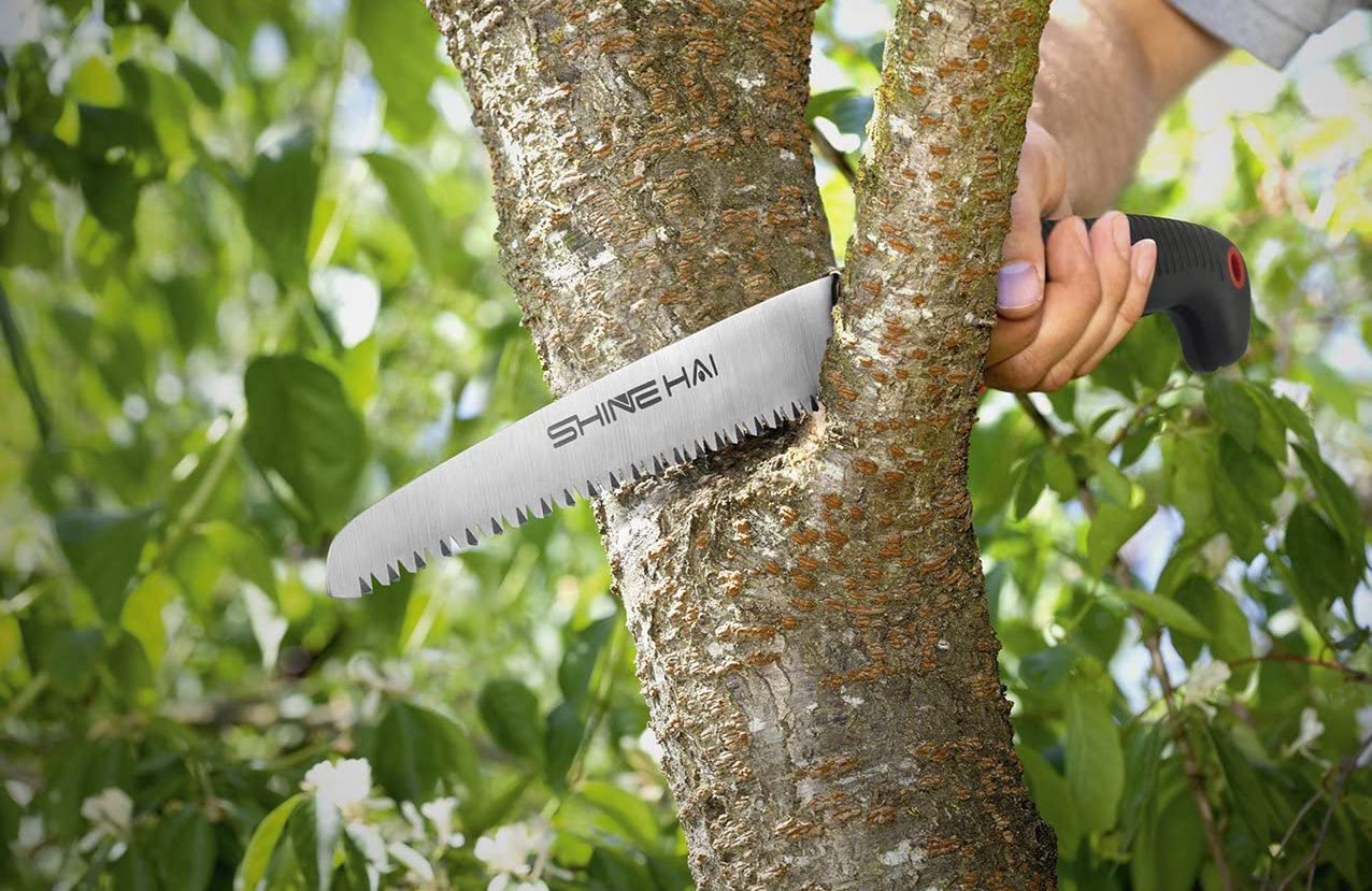 Top 10 Best Pruning Saws Reviews | Guide