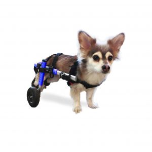 Walkin-Wheels-Dog-Wheelchair-–-For-Small-Dog