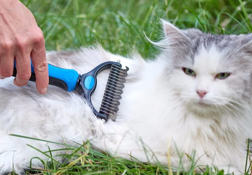 Best Deshedding Tools For Dogs in 2022