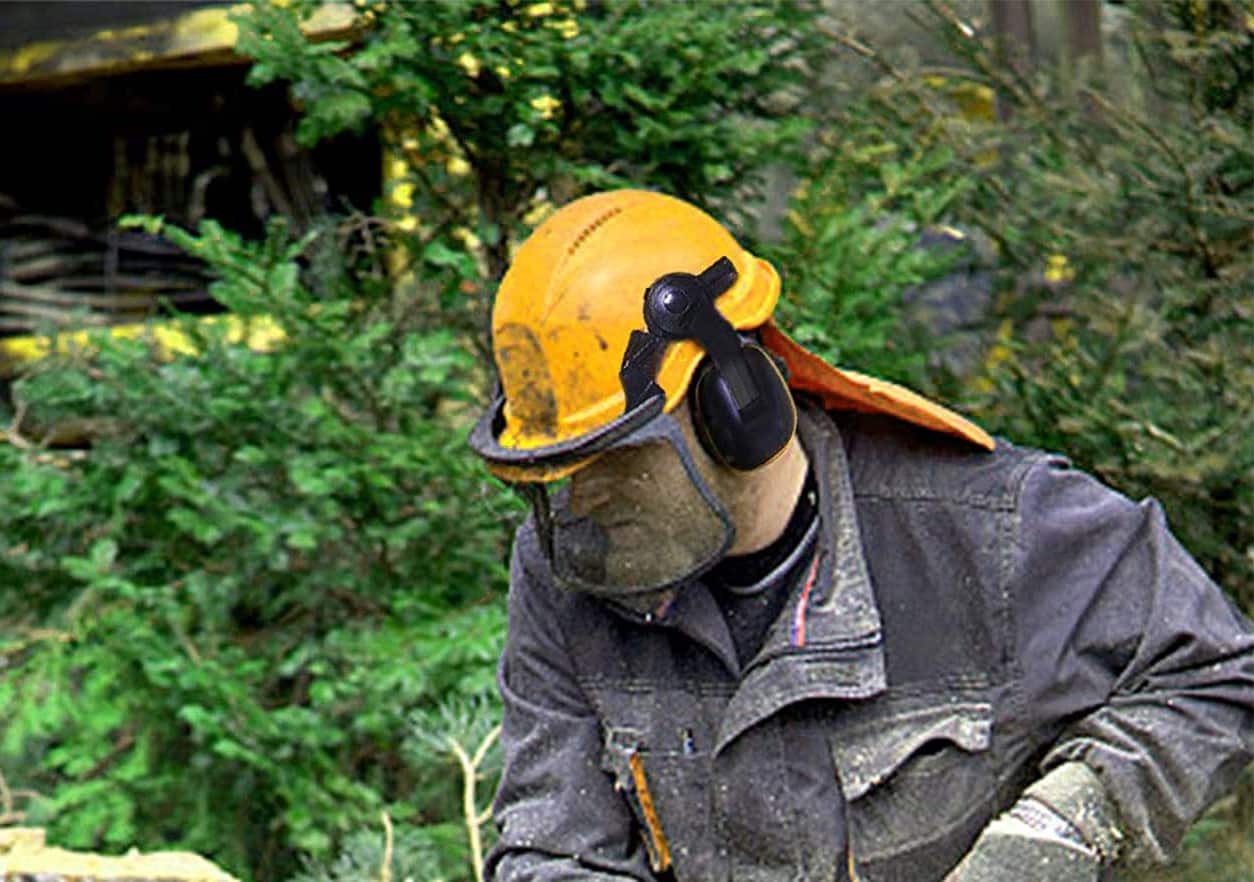 Forestry Helmets