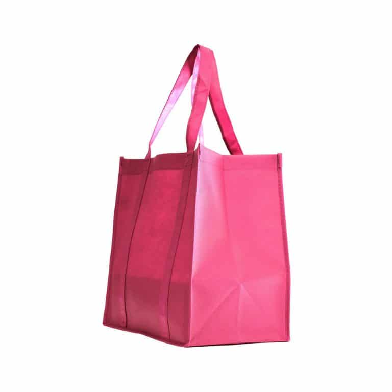 Top 10 Best Tote Shopping Bags in 2021 Reviews | Buyer's Guide