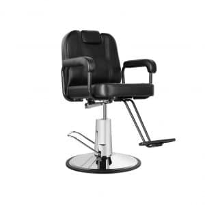 Eastmagic Hydraulic Reclining Salon Chair